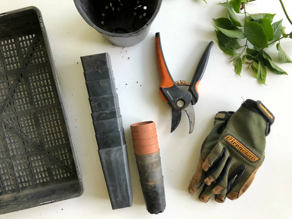 Gardening tools laid out — secateurs, gloves, pots, and plants