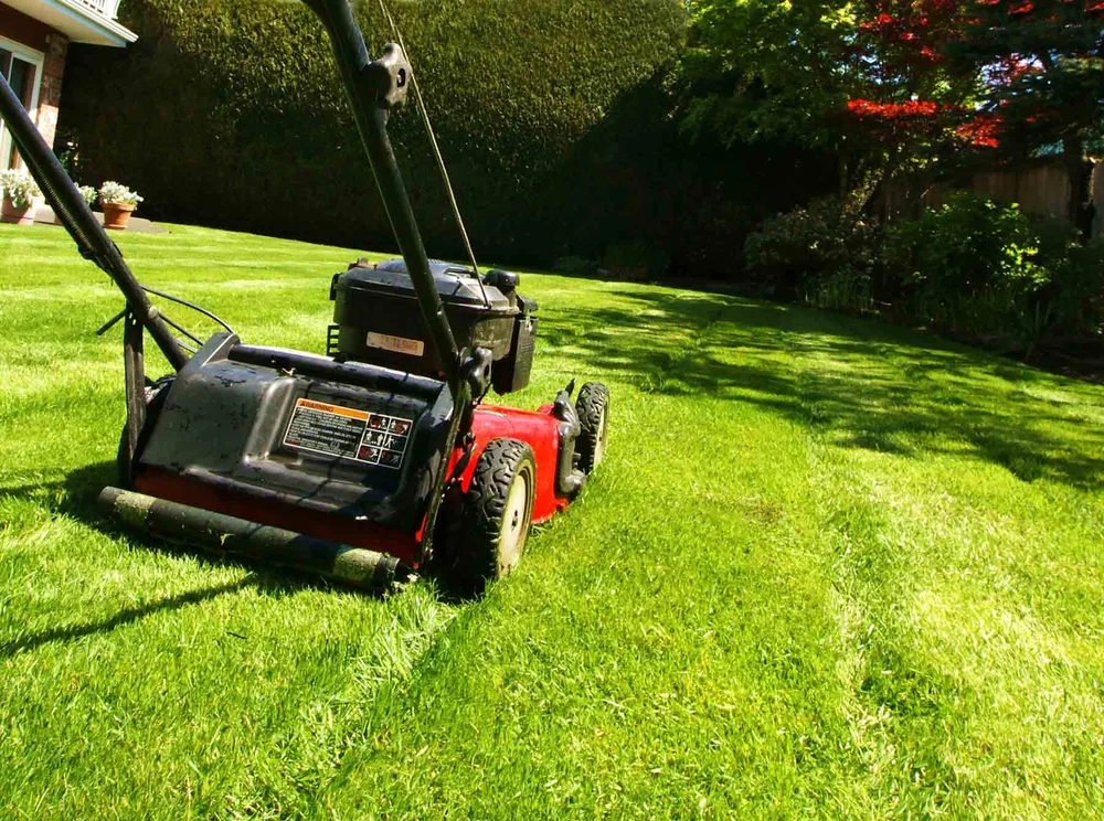 Lawn mower on a freshly cut green lawn