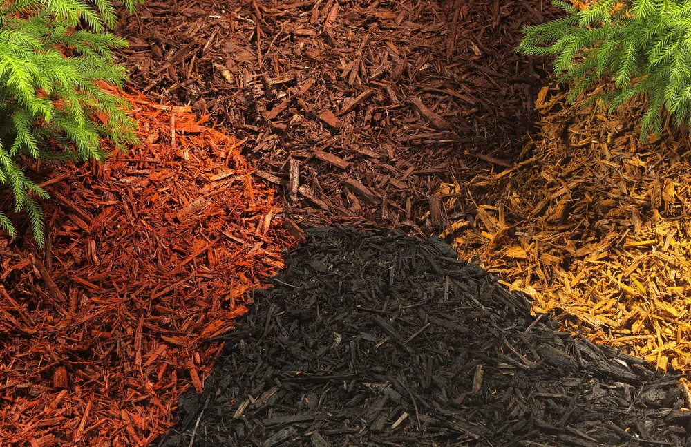 Mulch in three colours: red, black, and golden
